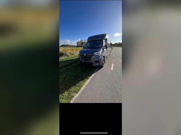 Renault master 2022 hengstenuitvoering 