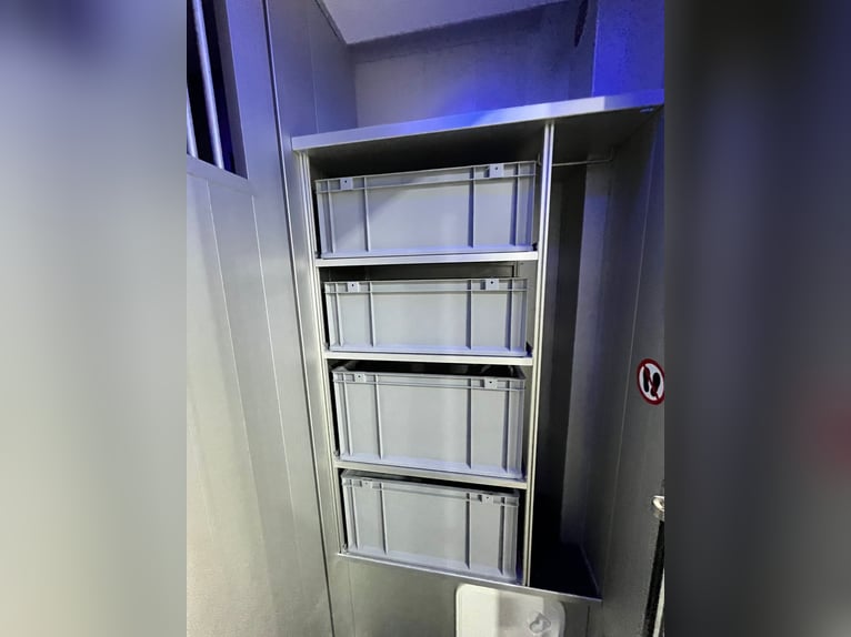 Roelofsen, Renault, Parados Sport, Top Zustand