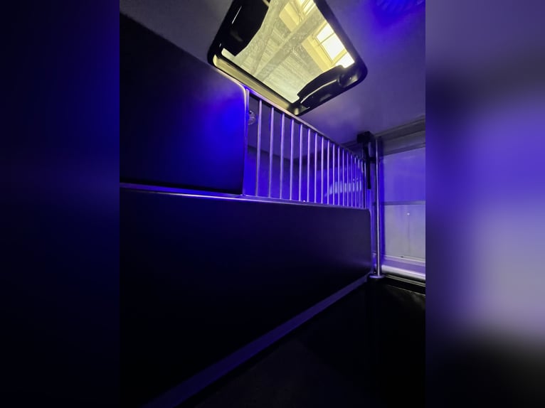 Roelofsen, Renault, Parados Sport, Top Zustand