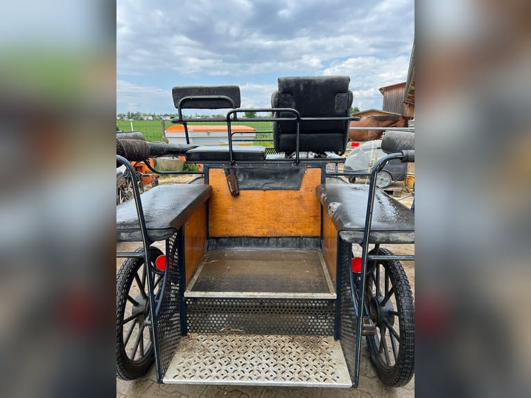 Stark gebrauchte aber funktionsfähige Wagonette, 6-Sitzer