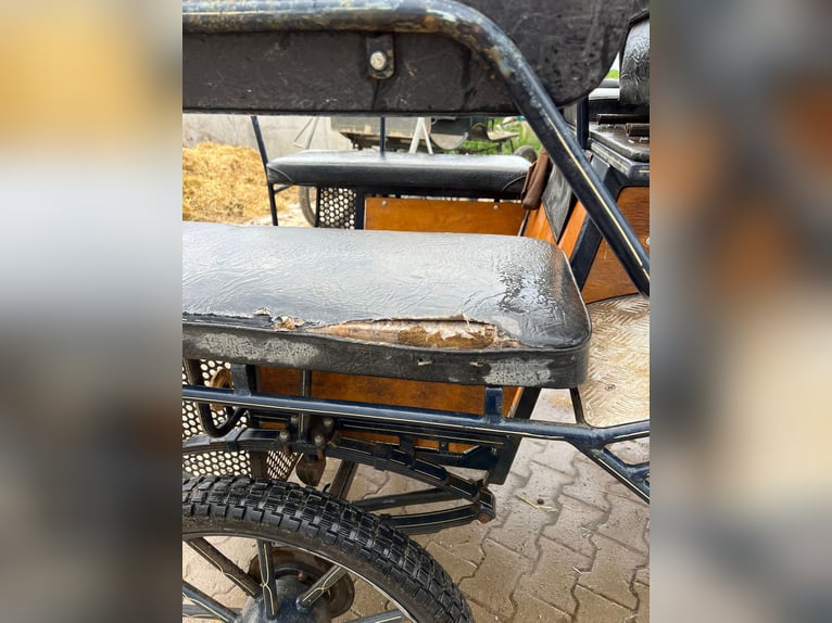 Stark gebrauchte aber funktionsfähige Wagonette, 6-Sitzer