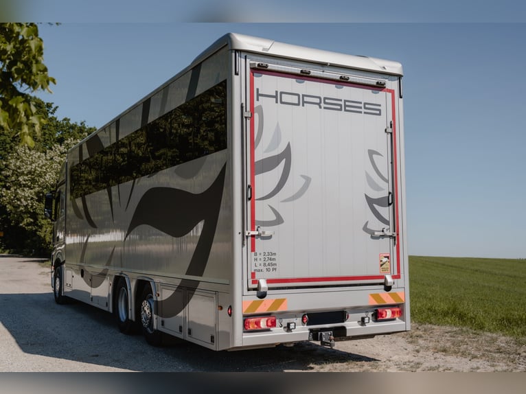 Mercedes-Benz Actros Profesional Camión para Transporte de Caballos