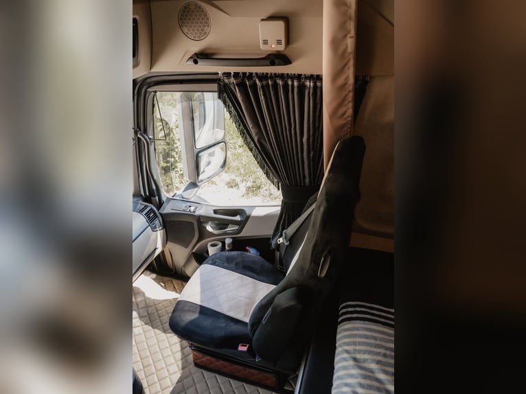 Mercedes-Benz Actros Profesional Camión para Transporte de Caballos