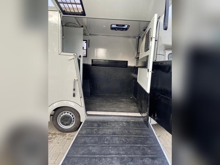 Transportador de caballos Renault Master