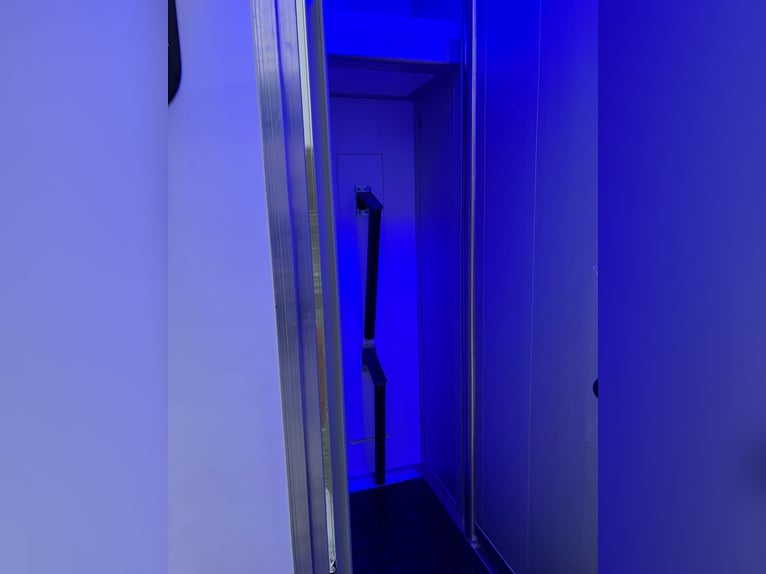 Transportín de caballos usado en excelente estado