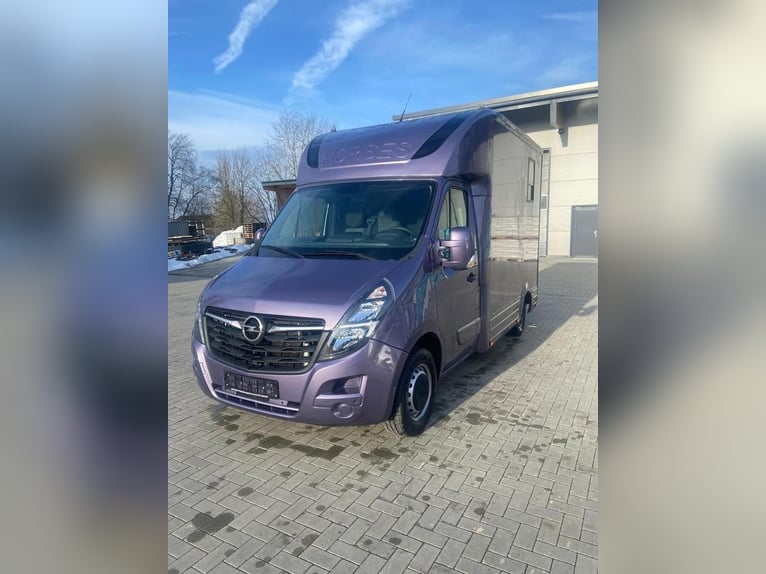 Transportista de caballos Opel Movano de 3,5 toneladas, con 2 plazas, matrícula 2021