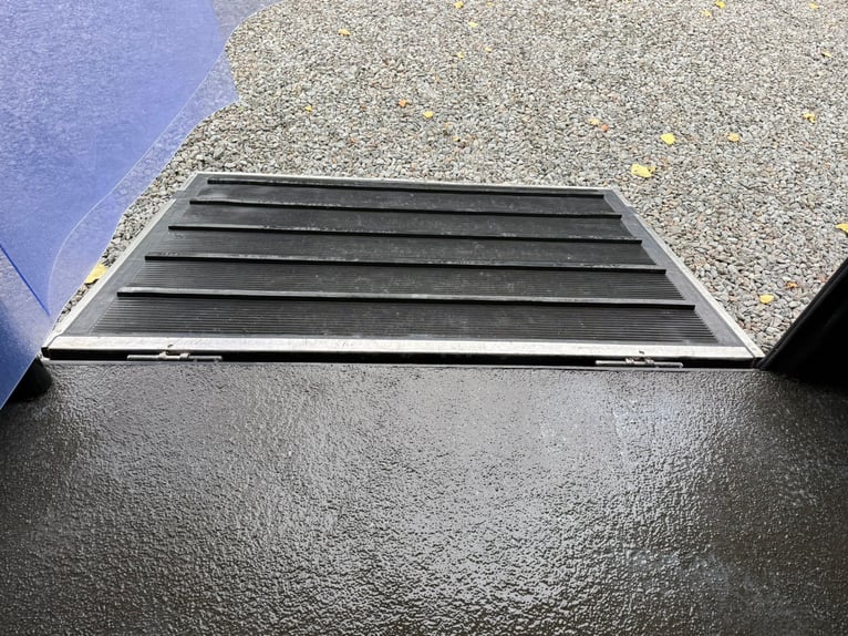 Transportista de caballos Renault Primero