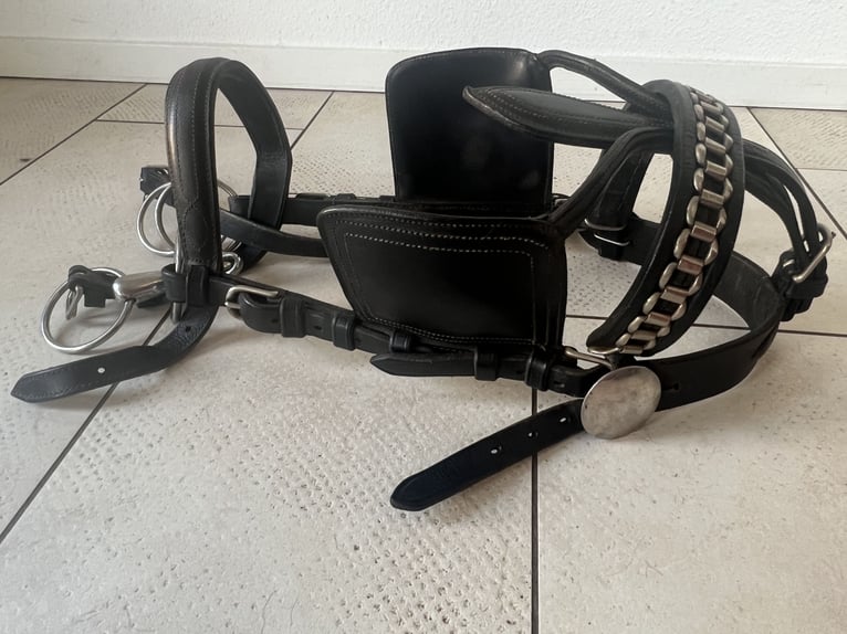 Arnés para carruaje de caballos