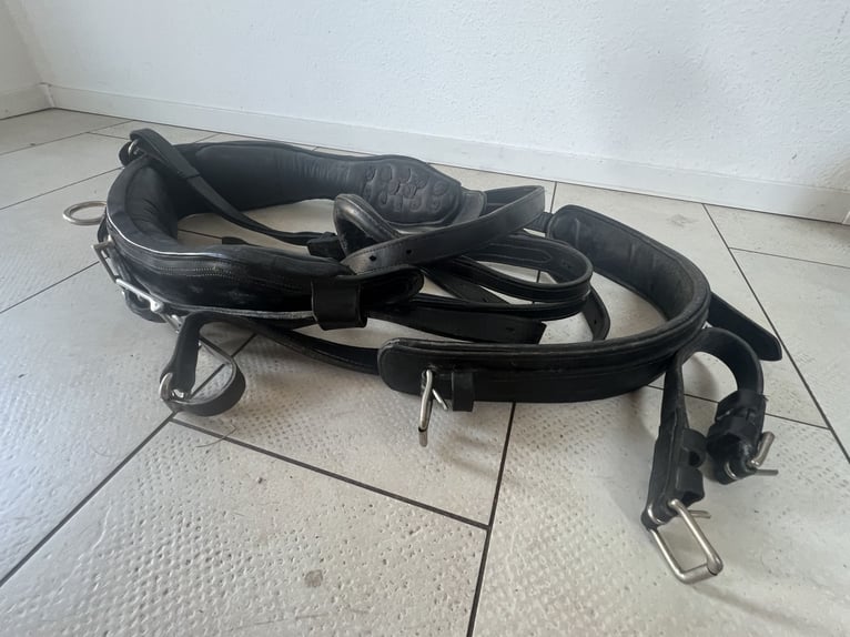Arnés para carruaje de caballos