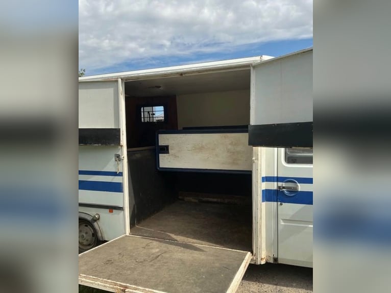 DON de chevaux, année 1990, Renault Master