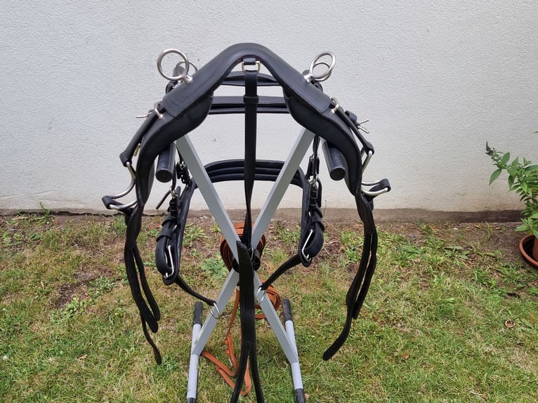 Einspänner Brustblatt-Kutschgeschirr der Sattlerei Meinecke für Warmblut. 