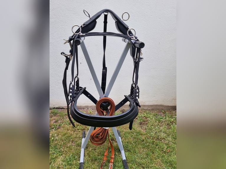 Einspänner Brustblatt-Kutschgeschirr der Sattlerei Meinecke für Warmblut. 