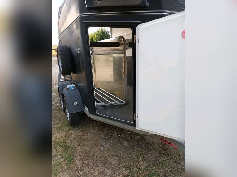 Remolque para caballos Bockmann Duo R