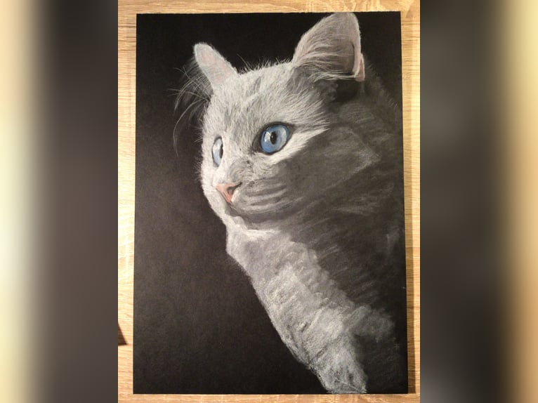 Tierportrait, Bleistift, Steinstift, Pastel nach Fotovorlage ab 50€