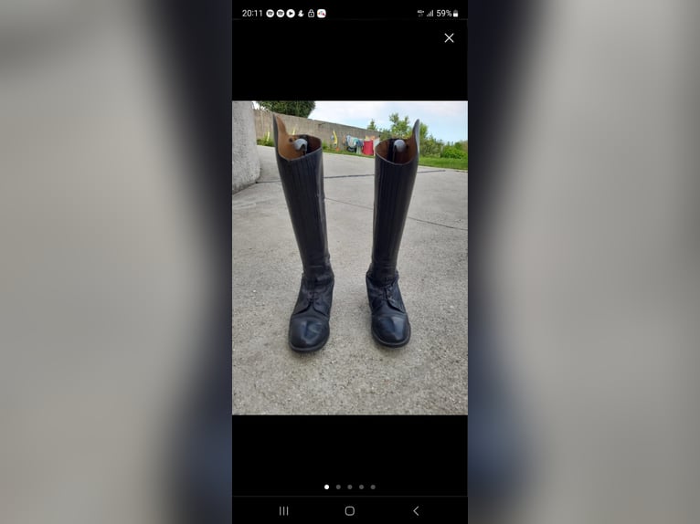 Botas equitación lexhis austria