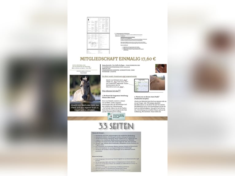 Centro especializado / consulta de terapias naturales para animales  
... Arte bioquímico, perfeccio