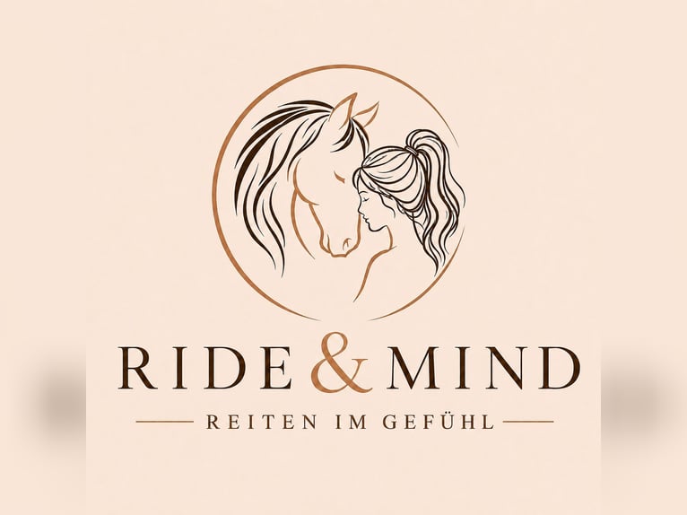 Clases de equitación a domicilio, entrenamiento de la postura y trabajo en tierra