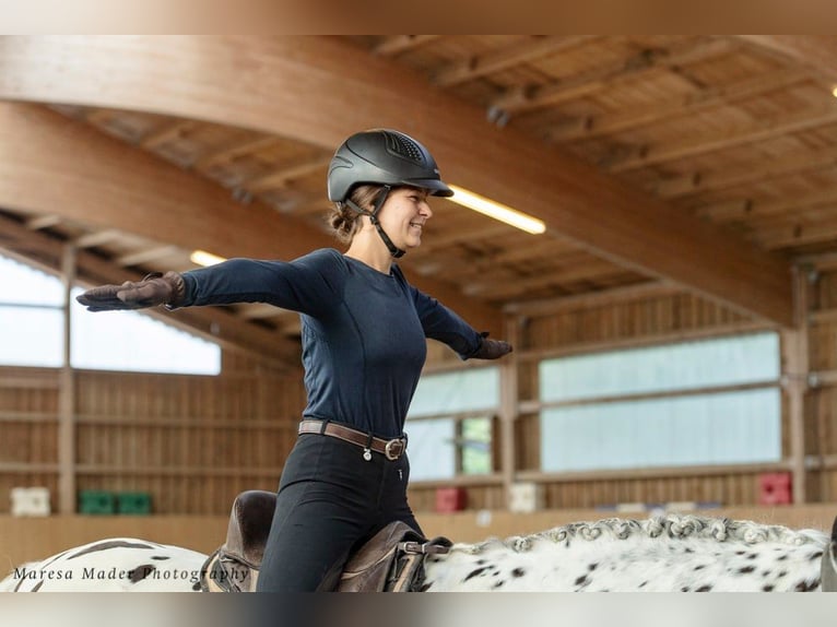 Coaching Problempferd/ Angstreiter*innen Coaching Problempferd/ Angstreiter*innen