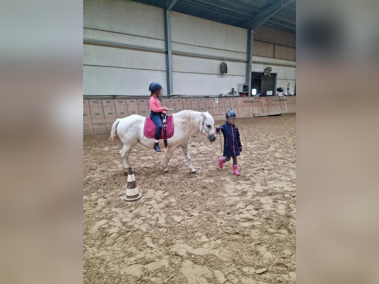 Fiesta de cumpleaños infantil en la granja ecuestre