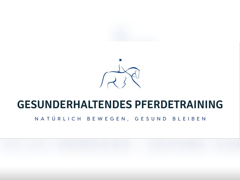 gesunderhaltendes Pferdetraining