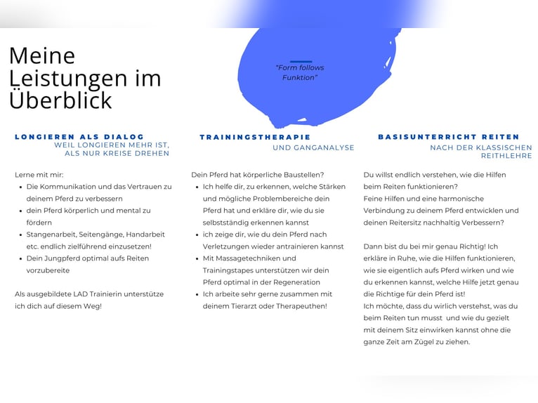 gesunderhaltendes Pferdetraining