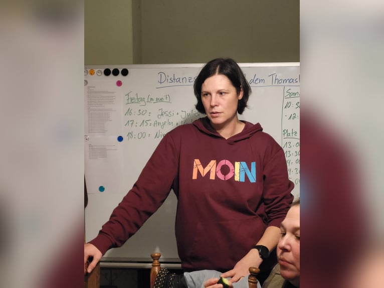 Distanzseminare für Einsteiger und Fortgeschrittene, Reiter und Fahrer