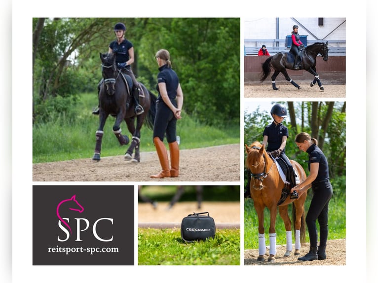 Dressurlehrgänge * Dressur Training * EM Bewegungstraining * Neuroathletik *  Coaching * in 2026 