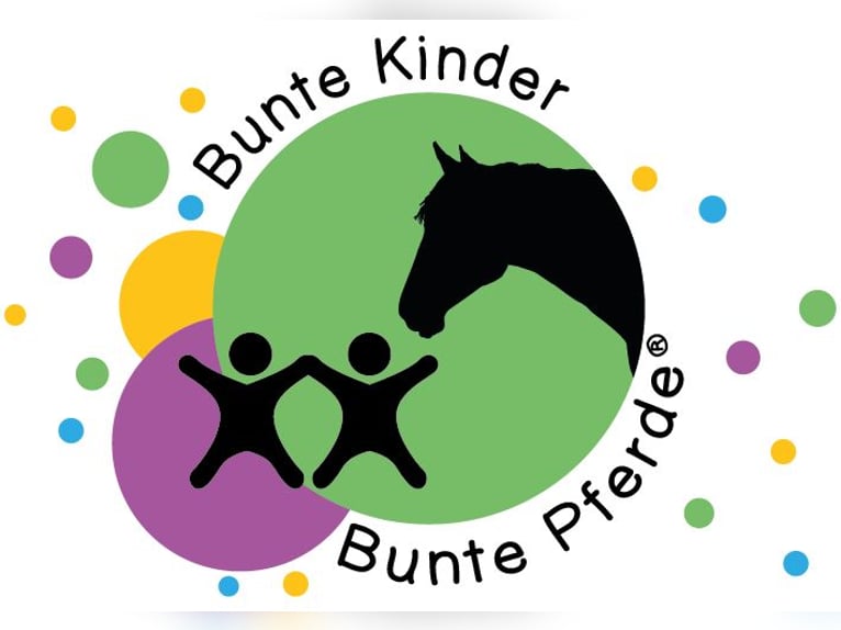 Formación en Pony-Motion® para la pedagogía ecuestre