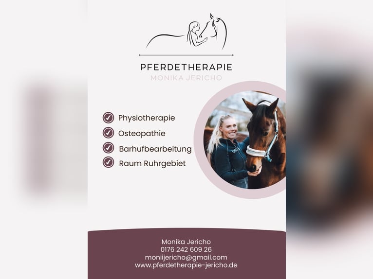 Hufbearbeitung / Pferdephysiotherapie / Pferdeosteopathie 