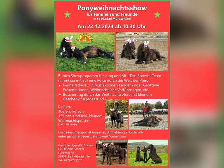 Ponyweihnachtsshow für Jung und Alt