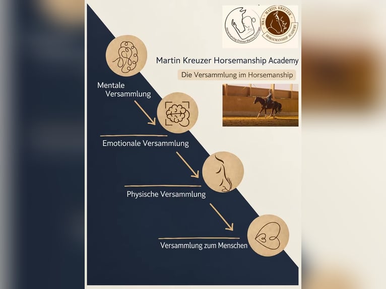Academia de Equitación MKA / Entrenador de caballos profesional