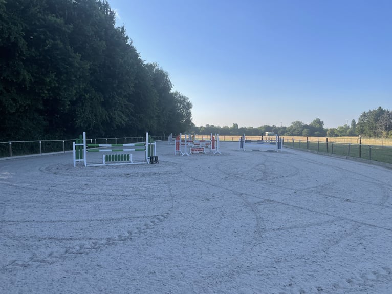 Entrenamiento