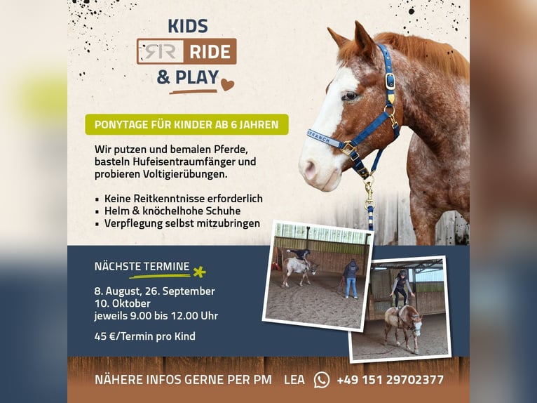 Puestos de adiestramiento, clases, cursos