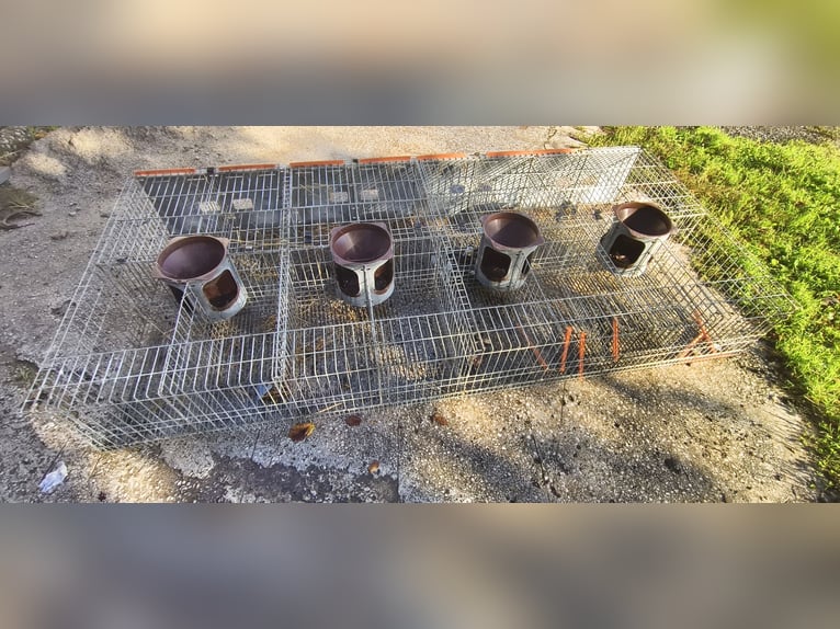 Jaulas para conejos