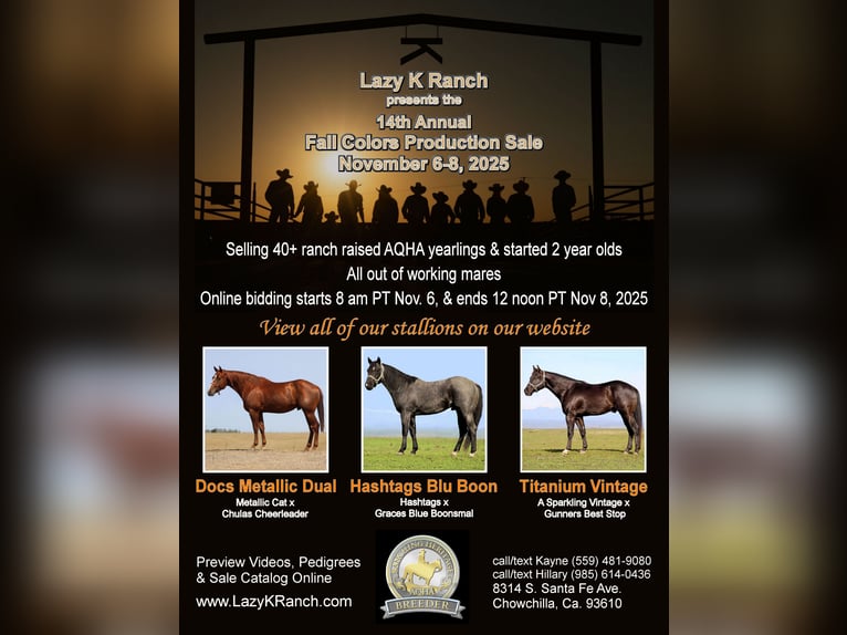 Lazy K Ranch's 14th Annual Fall Color Production Sale