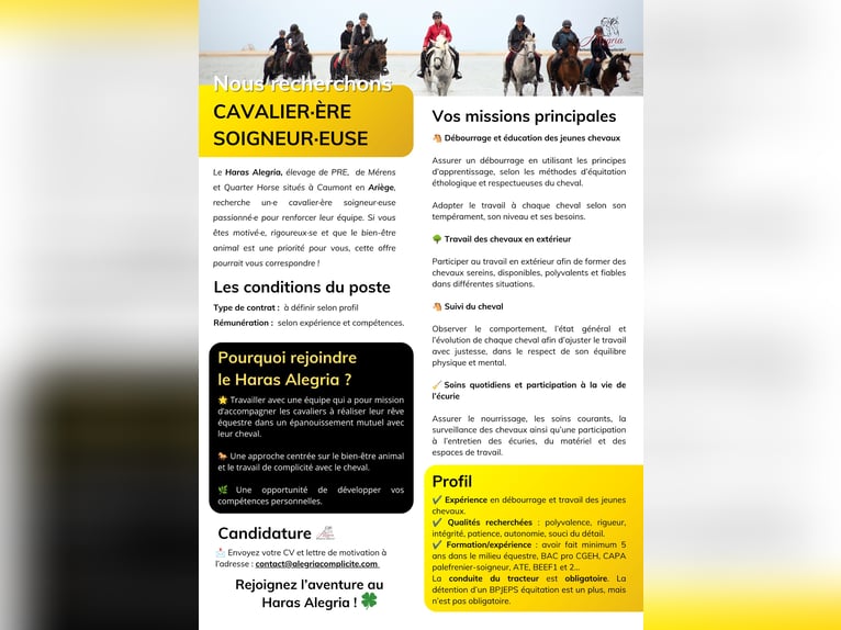 Caballero/a cuidador/a