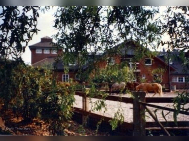 Oferta de empleo: ¡Buscamos un/a técnico/a en equitación, preferiblemente con especialización en rep