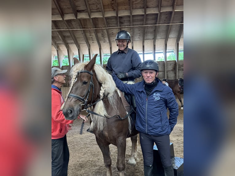 Se busca gerente de la cuadra en el Hotel Reiterhof Altmühlsee