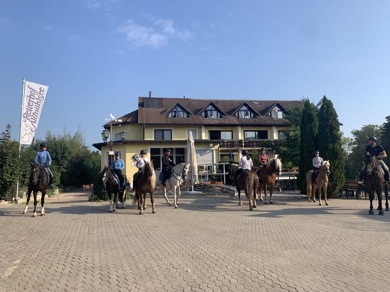 Se busca gerente de la cuadra en el Hotel Reiterhof Altmühlsee