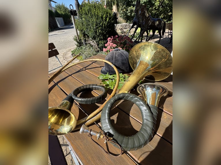 Se busca gerente de la cuadra en el Hotel Reiterhof Altmühlsee