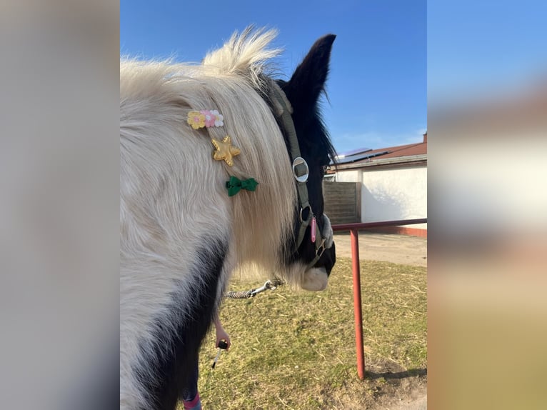 Se busca instructor/a de equitación (h/m/d) para niños y principiantes en Berlín