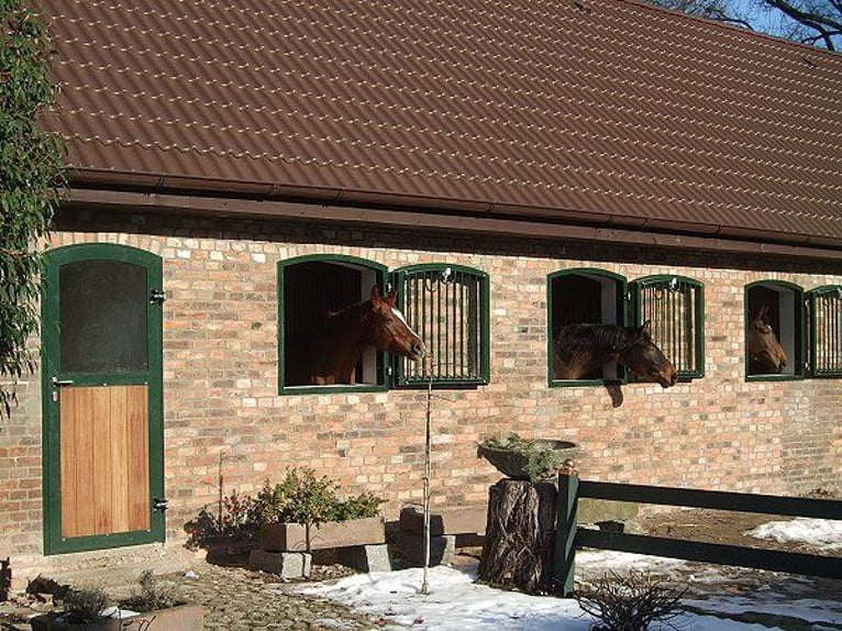 Springbereiter/ in für Ausbildungsstall gesucht!