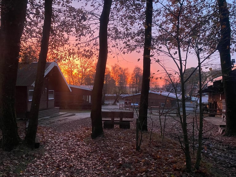 Reiterhotel Vox Mitarbeiter in Festanstellung, sowie  Praktikumsplätze