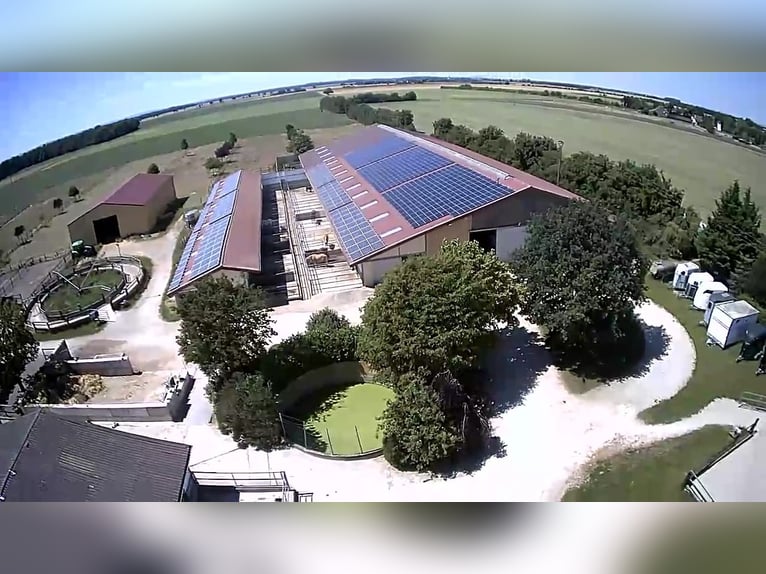 Stallhelfer, Stallkraft Stallmitarbeiter nach 50374 gesucht