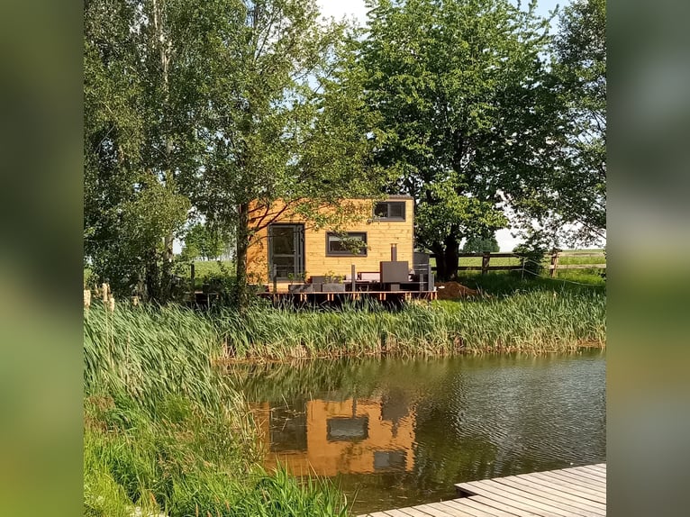 Assistent(in) der Geschäftsführung: Wohnen auf Reitanlage und Arbeiten Ferienwohnungen, TinyHouses