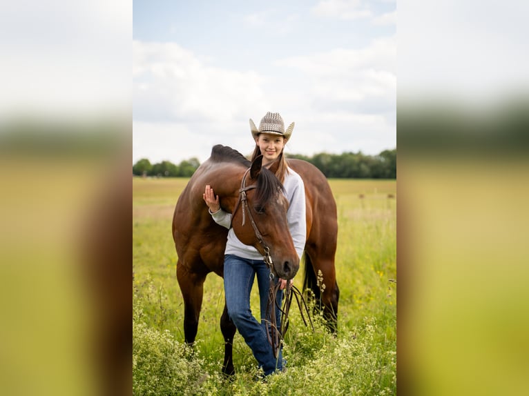 Westerntrainer Assistent - Reining 