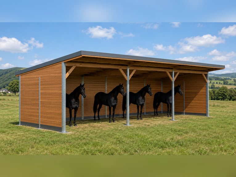 Caseta de pasto y box de paddock, refugio para caballos | Refugio para pasto ideal para sus caballos