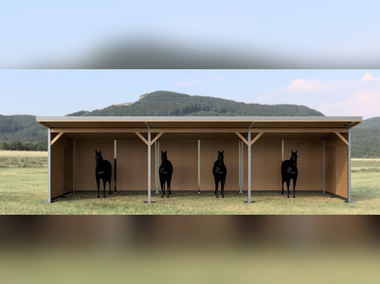 Caseta de pasto y box de paddock, refugio para caballos | Refugio para pasto ideal para sus caballos