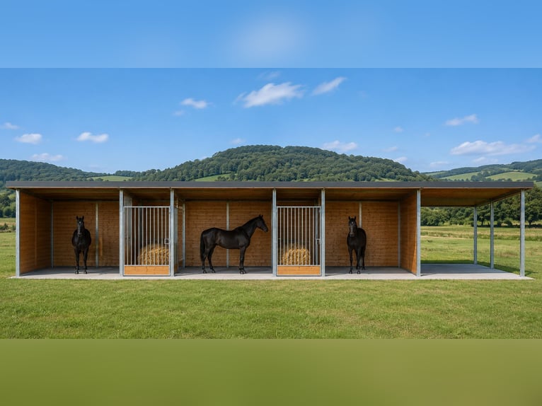 Caseta de pasto y box de paddock, refugio para caballos | Refugio para pasto ideal para sus caballos