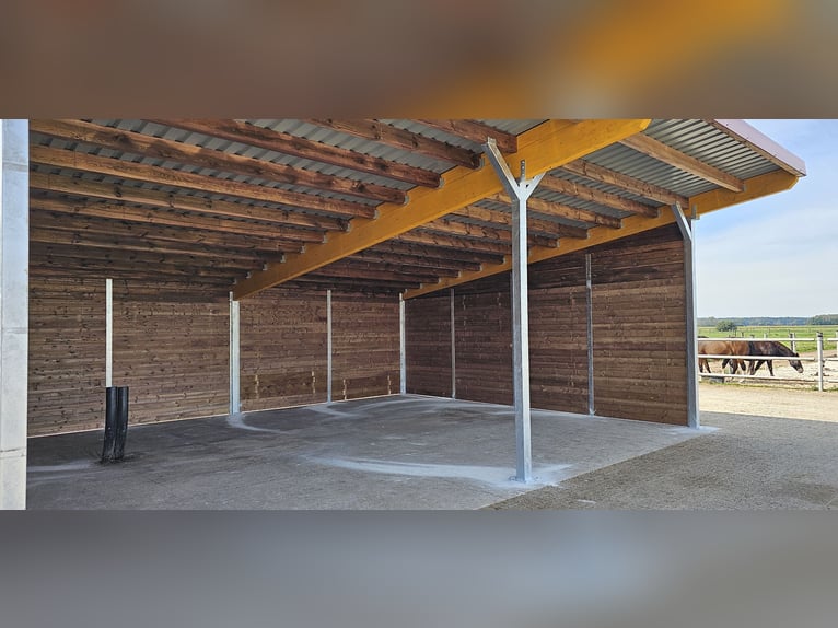 Caseta de pasto y box de paddock, refugio para caballos | Refugio para pasto ideal para sus caballos
